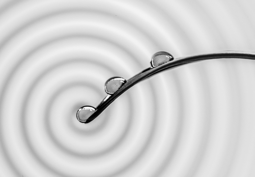 Hypnose