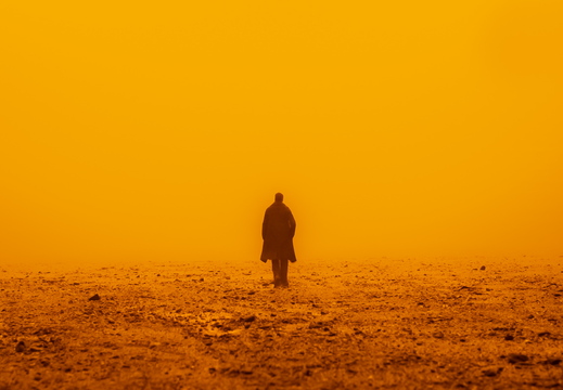 Bladerunner