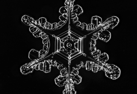 2026-01-17 15-32-11 (C,S1)