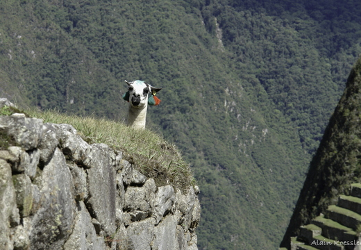 Pérou, Macu-Pichu