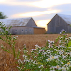 Bouch Campagne (15)